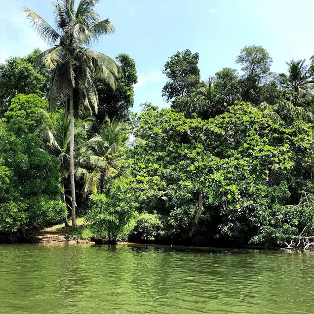 destination-img-bentota